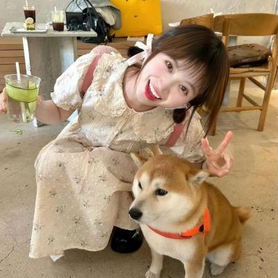蠢爱三人行